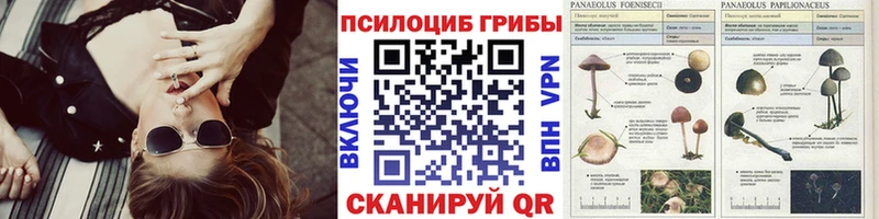 Галлюциногенные грибы мицелий  кракен tor  Ступино 